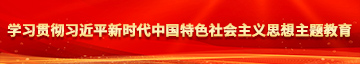 9久尻屄视频网学习贯彻习近平新时代中国特色社会主义思想主题教育